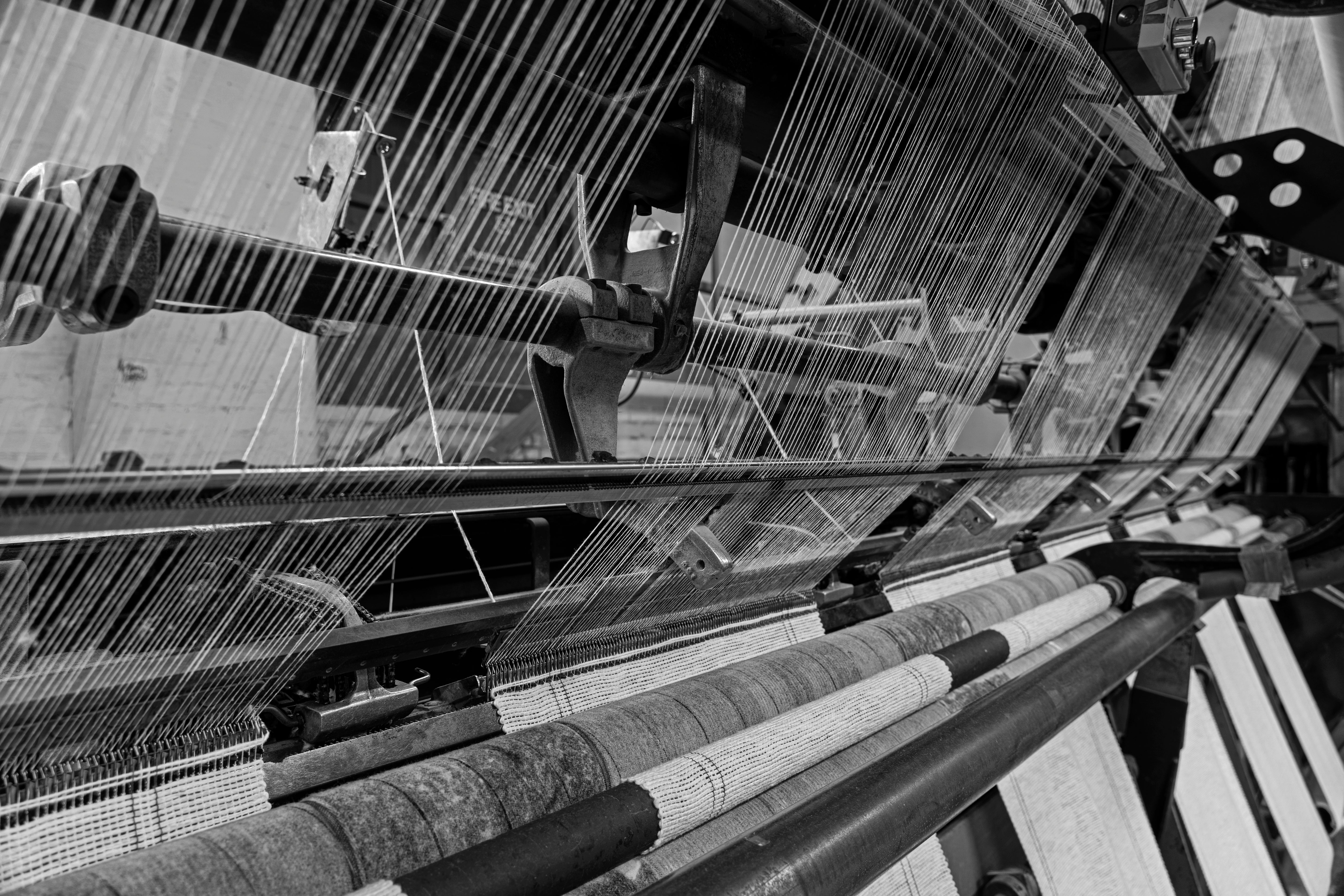 DSC05410_BW.jpg